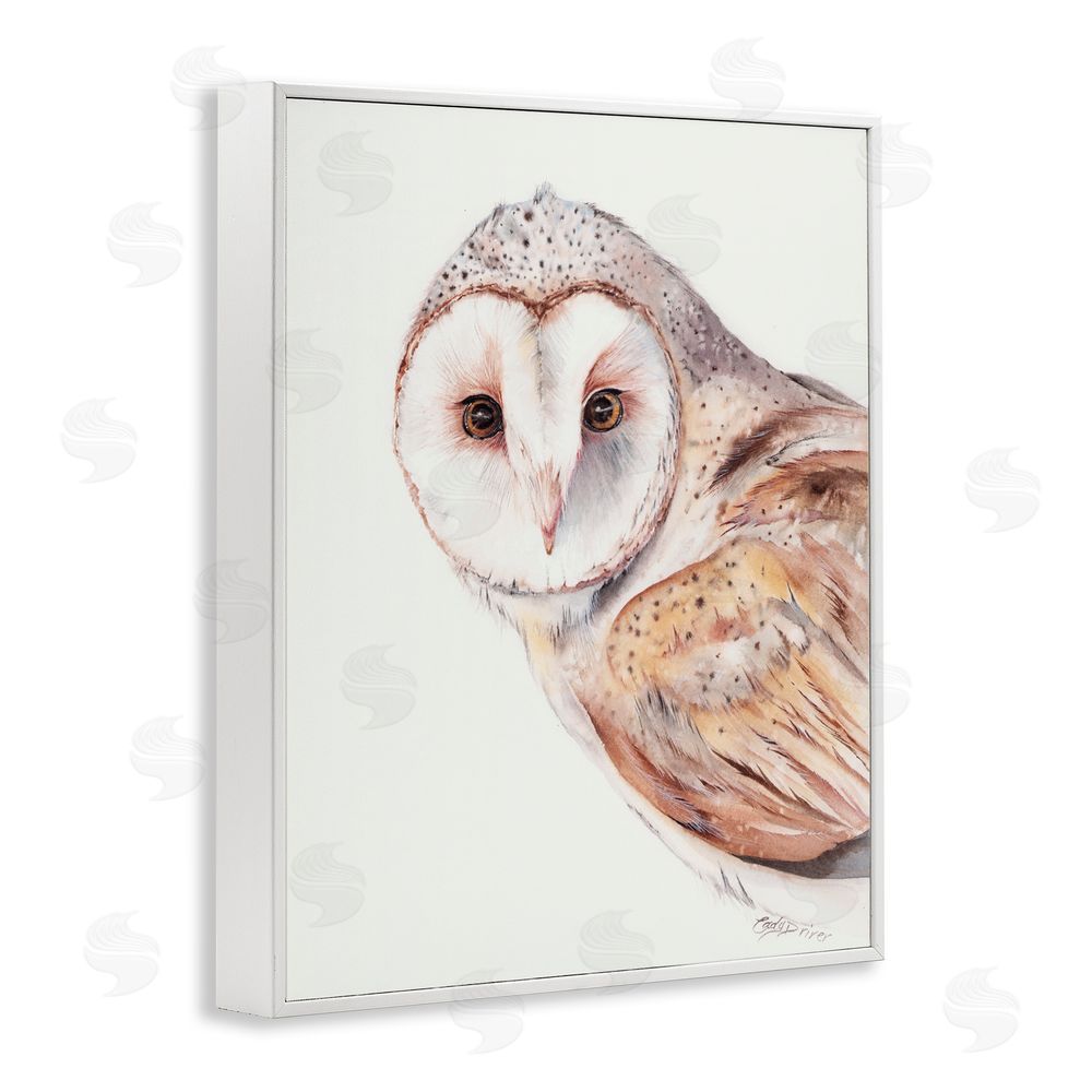 Cady Driver Peeking Barn Owl Gaze White Framed Giclee Wall Art Print