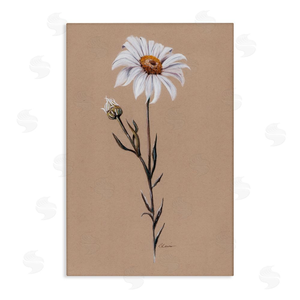 Cady Driver Daisy Sprout on Tan Canvas Wall Art Print