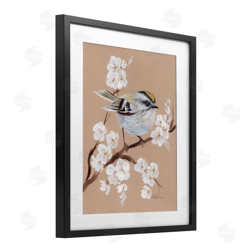 Cady Driver Apple Blossom Branch with Bird Black Framed Print Under Glass with White Mat Wall Art