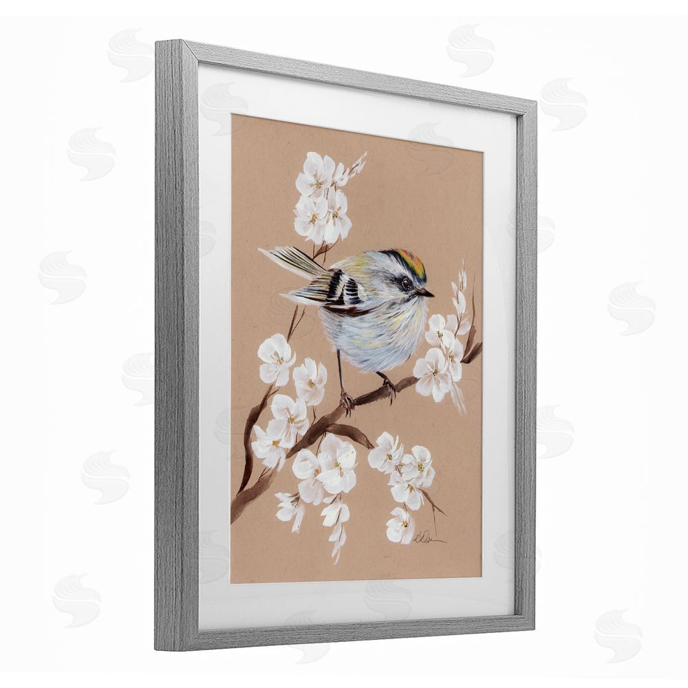 Cady Driver Apple Blossom Branch with Bird Gray Framed Print Under Glass with White Mat Wall Art