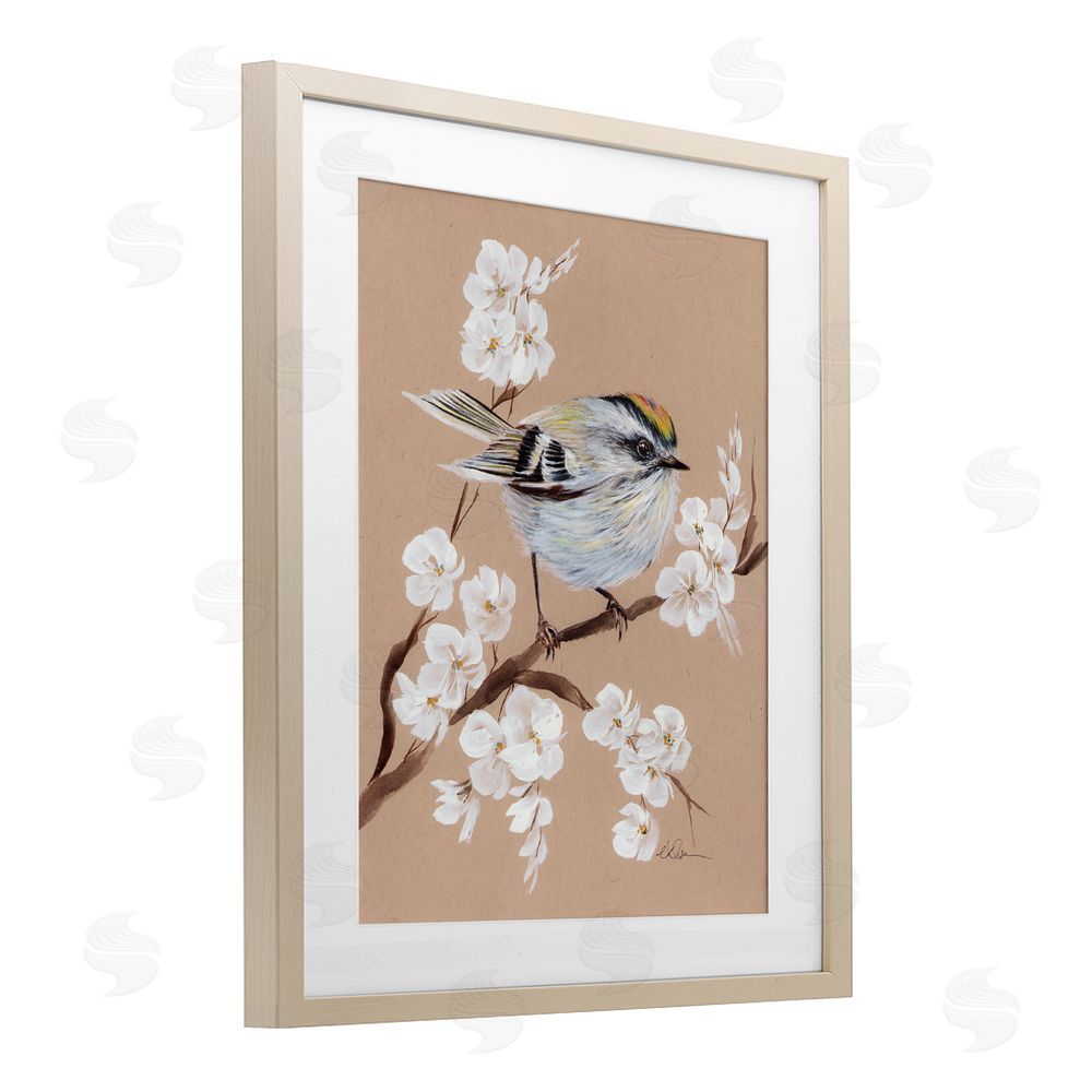 Cady Driver Apple Blossom Branch with Bird Birch Framed Print Under Glass with White Mat Wall Art
