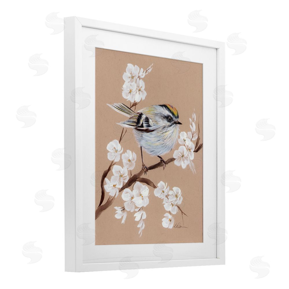 Cady Driver Apple Blossom Branch with Bird White Framed Print Under Glass with Mat Wall Art