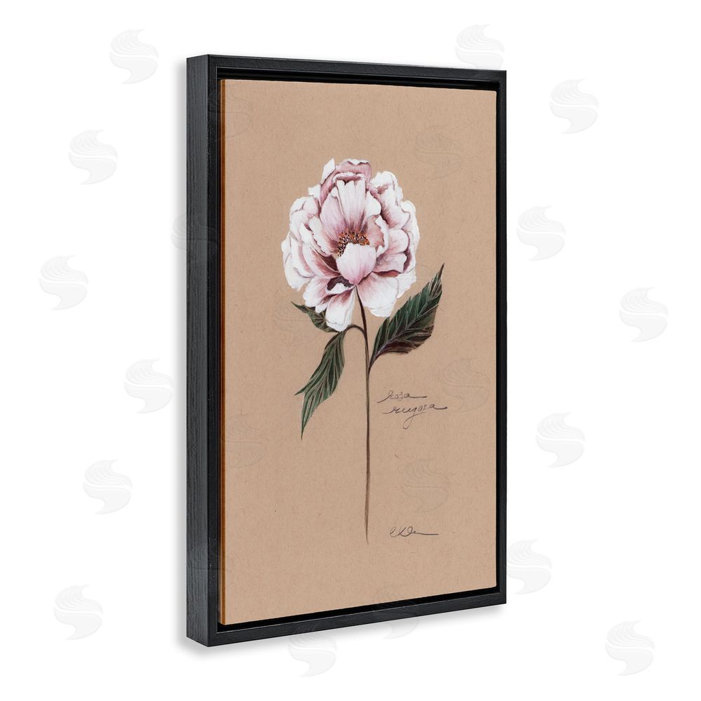Cady Driver Vintage Flower Rounded Petals Black Floating Frame Canvas Wall Art Print