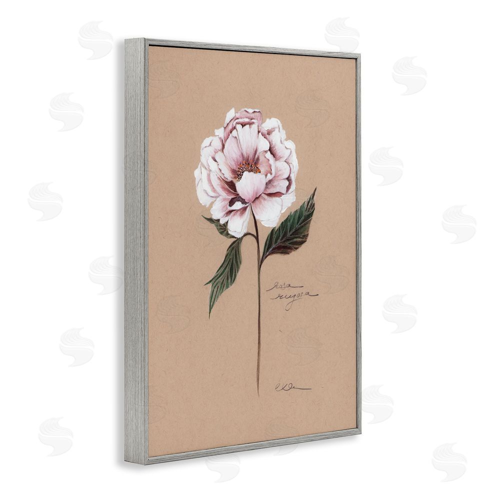 Cady Driver Vintage Flower Rounded Petals Gray Framed Giclee Wall Art Print