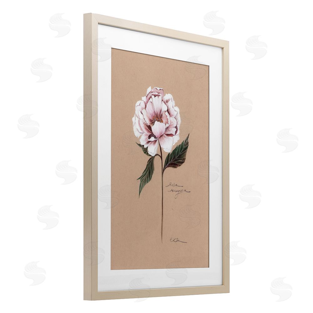 Cady Driver Vintage Flower Rounded Petals Birch Framed Print Under Glass with White Mat Wall Art