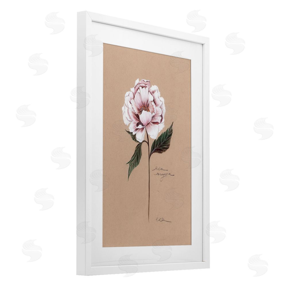 Cady Driver Vintage Flower Rounded Petals White Framed Print Under Glass with Mat Wall Art