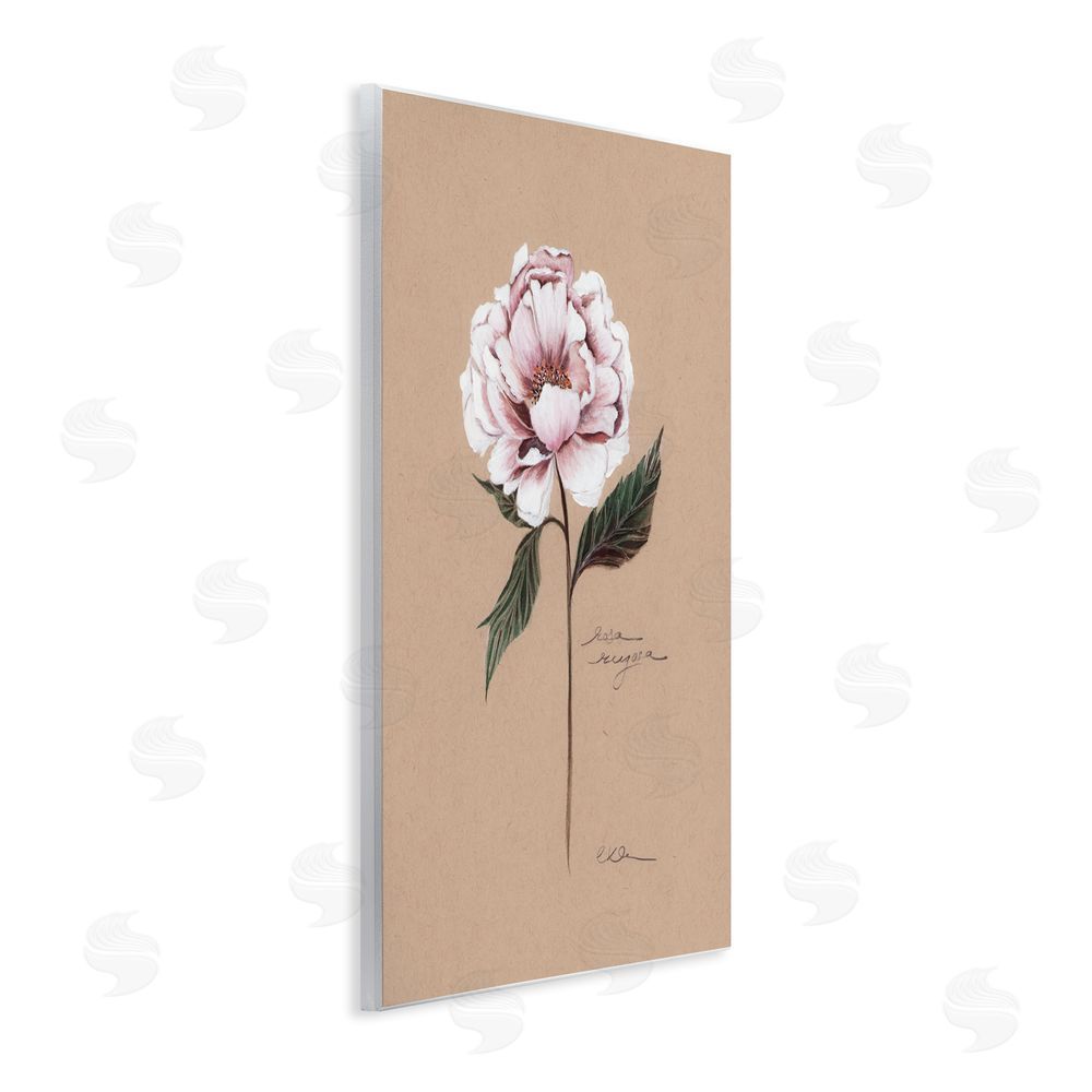 Cady Driver Vintage Flower Rounded Petals Wall Plaque Art Print