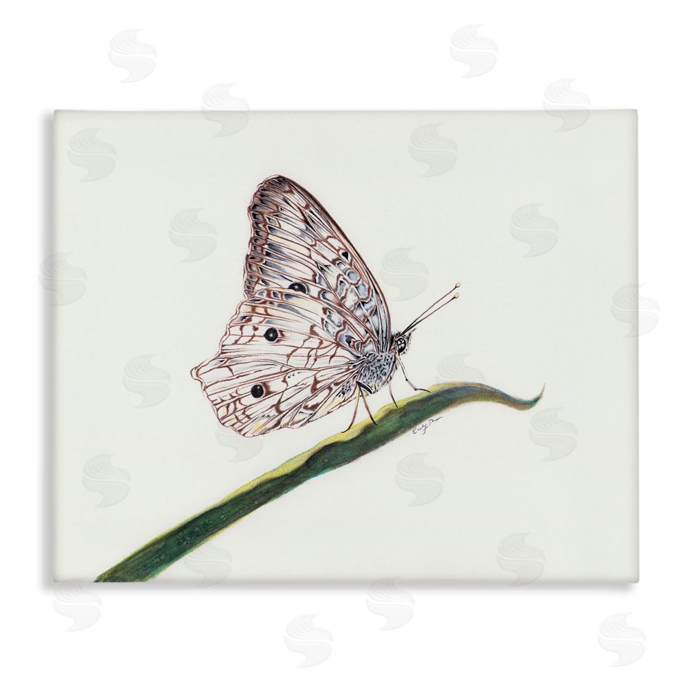 Cady Driver Intricate Butterfly on Twig Canvas Wall Art Print