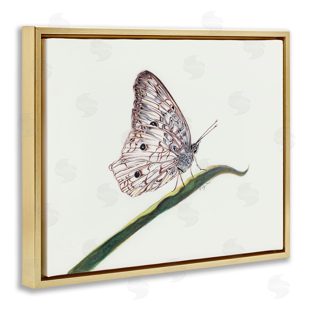 Cady Driver Intricate Butterfly on Twig Gold Floating Frame Canvas Wall Art Print