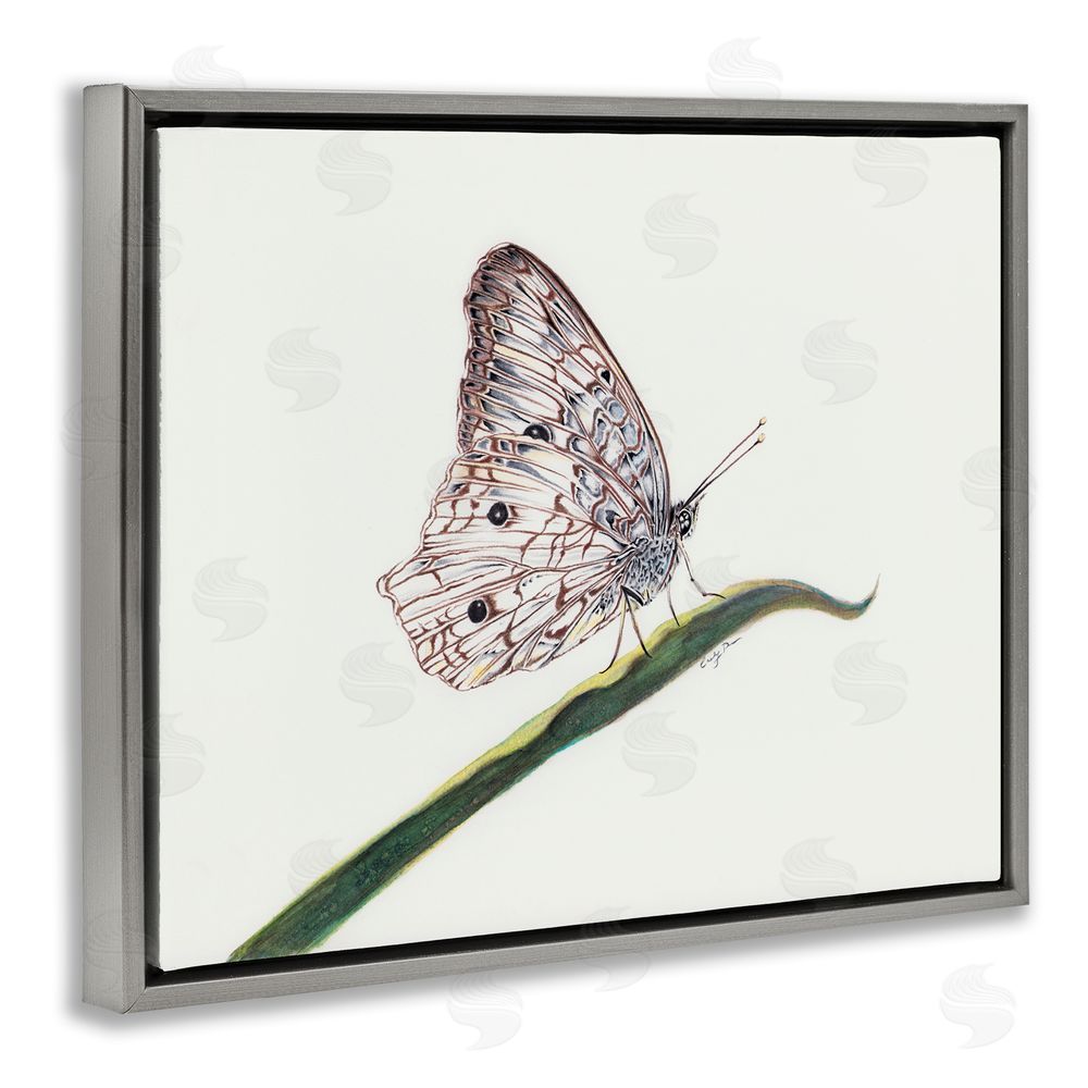 Cady Driver Intricate Butterfly on Twig Gray Floating Frame Canvas Wall Art Print