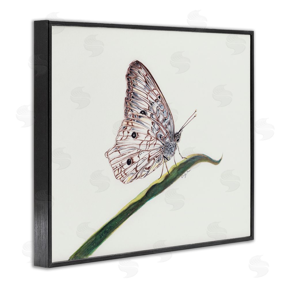Cady Driver Intricate Butterfly on Twig Black Framed Giclee Wall Art Print