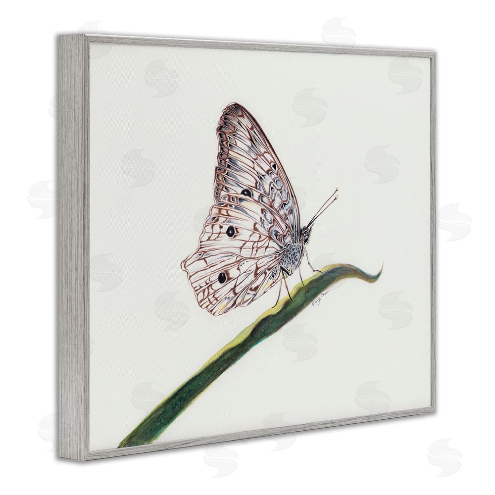 Cady Driver Intricate Butterfly on Twig Gray Framed Giclee Wall Art Print