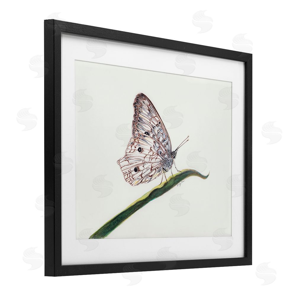Cady Driver Intricate Butterfly on Twig Black Framed Print Under Glass with White Mat Wall Art