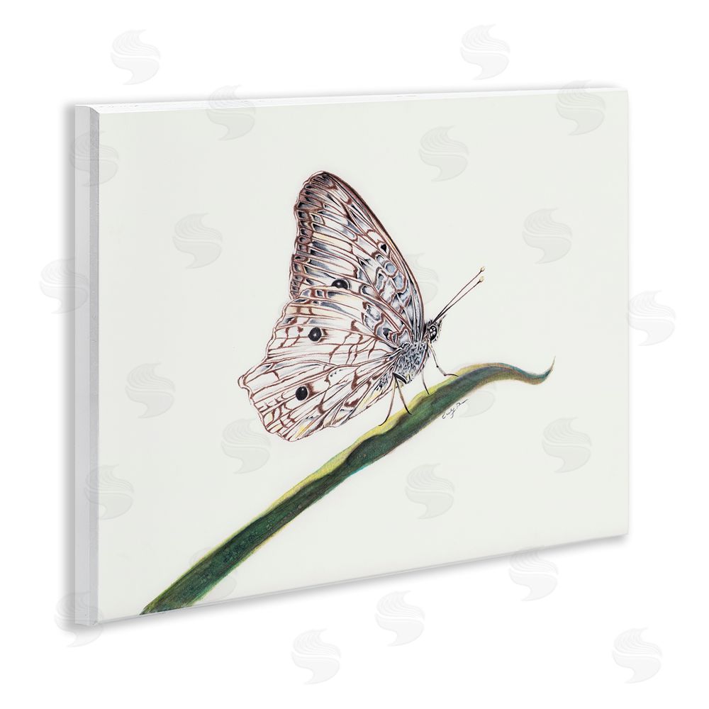 Cady Driver Intricate Butterfly on Twig Wall Plaque Art Print