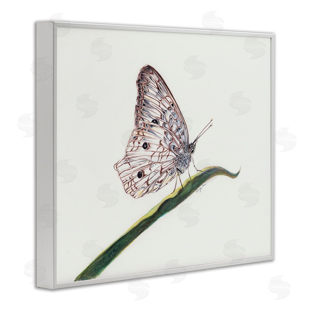 Cady Driver Intricate Butterfly on Twig White Framed Giclee Wall Art Print