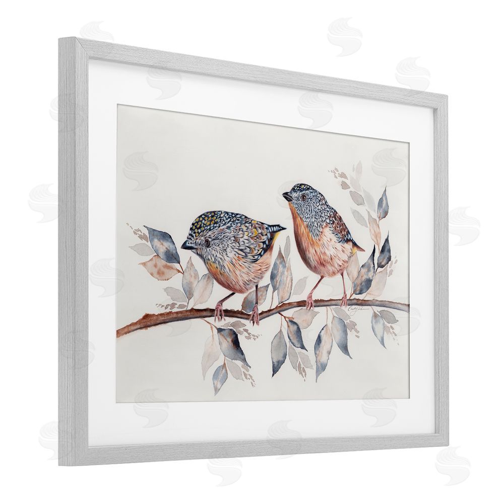 Cady Driver Speckled Bird Pair on Branch Gray Framed Print Under Glass with White Mat Wall Art
