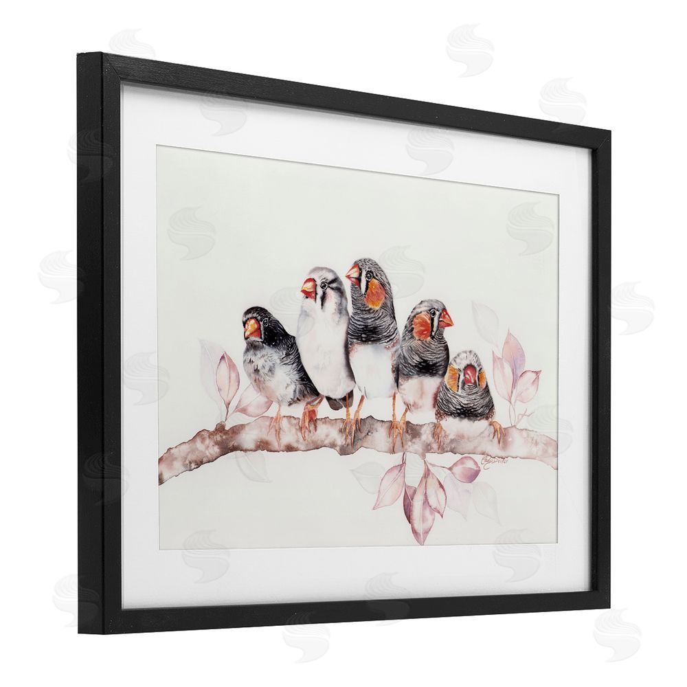 Cady Driver Five Birds on Branch Black Framed Print Under Glass with White Mat Wall Art