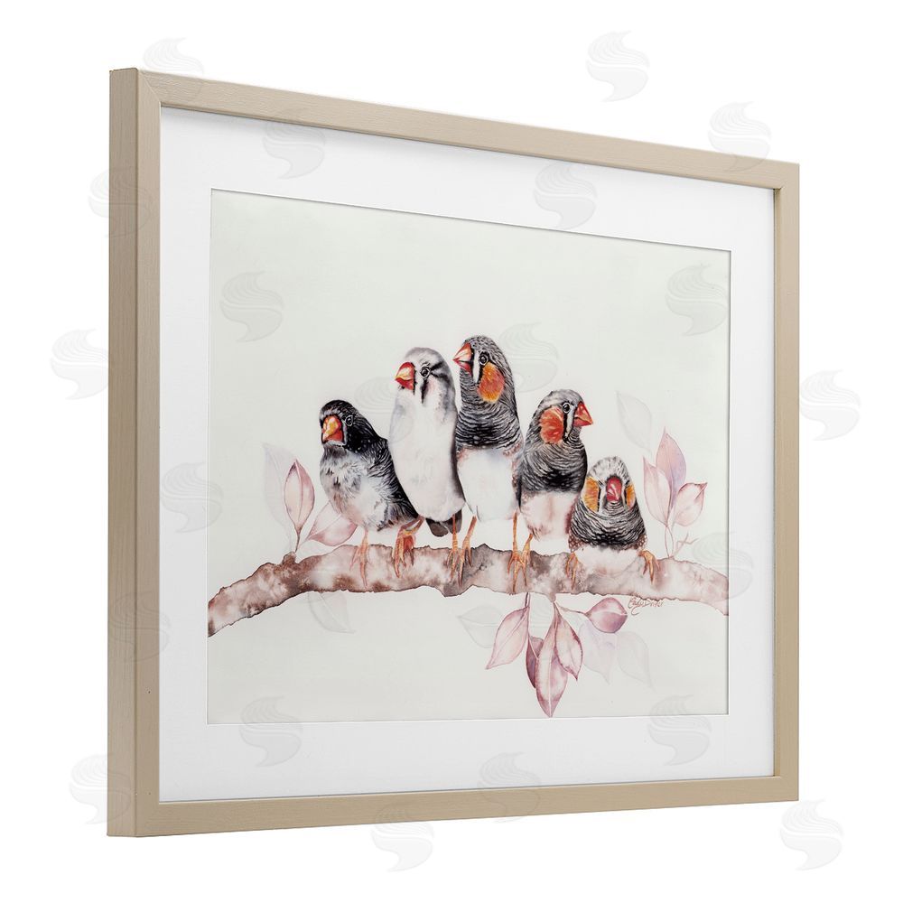 Cady Driver Five Birds on Branch Birch Framed Print Under Glass with White Mat Wall Art