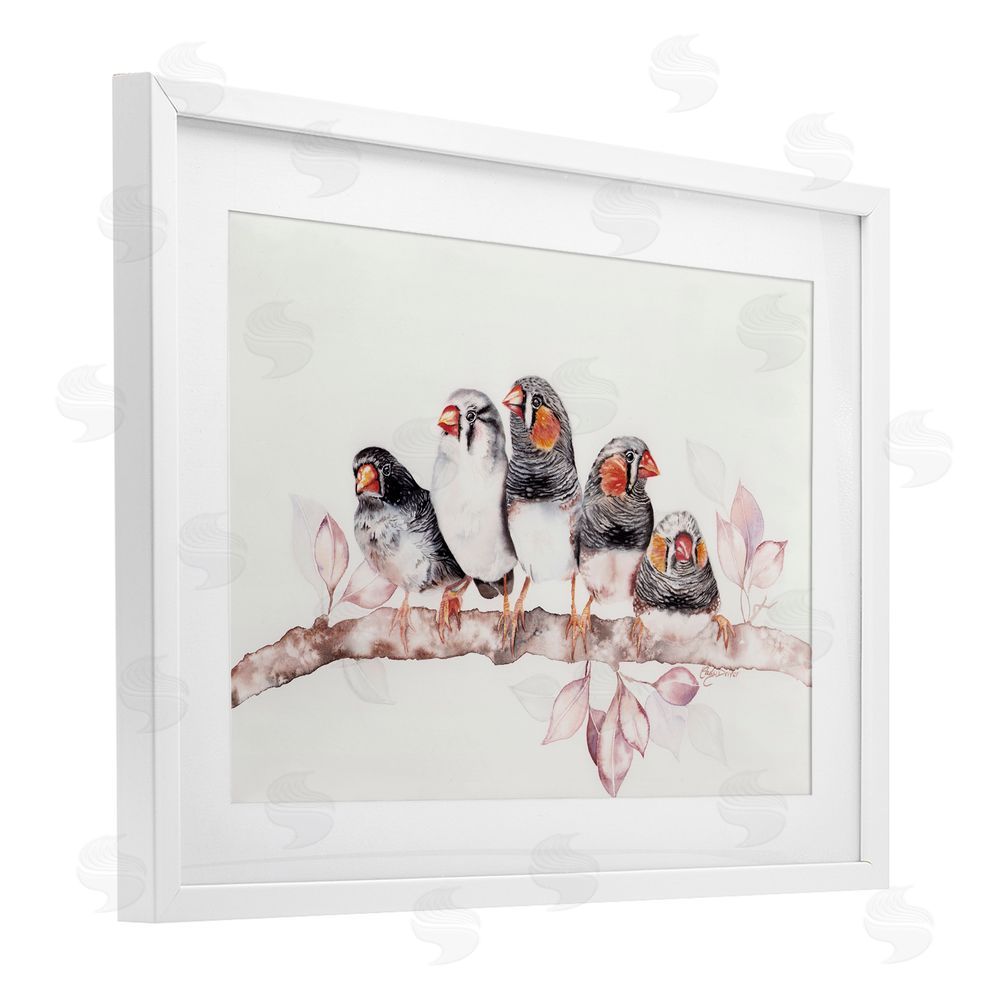 Cady Driver Five Birds on Branch White Framed Print Under Glass with Mat Wall Art