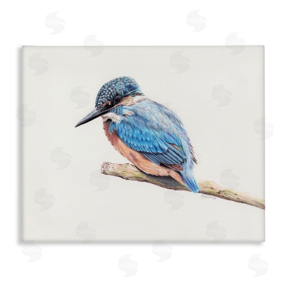 Cady Driver Vibrant Kingfisher on Branch Canvas Wall Art Print