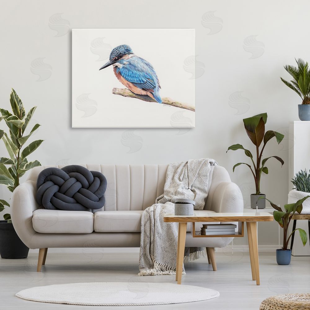 Cady Driver Vibrant Kingfisher on Branch Canvas Art on Wall