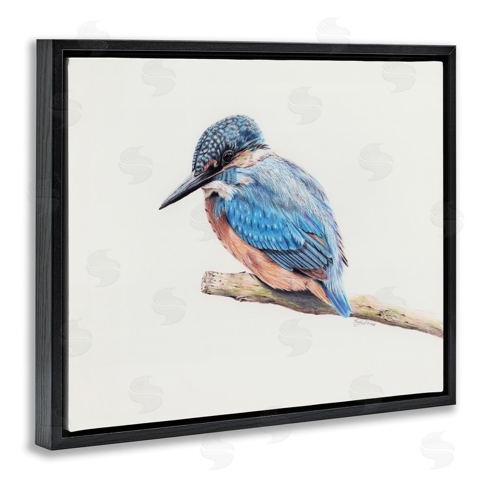 Cady Driver Vibrant Kingfisher on Branch Black Floating Frame Canvas Wall Art Print