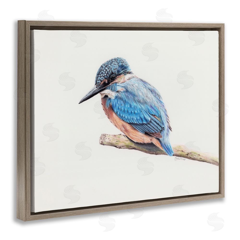 Cady Driver Vibrant Kingfisher on Branch Brown Floating Frame Canvas Wall Art Print