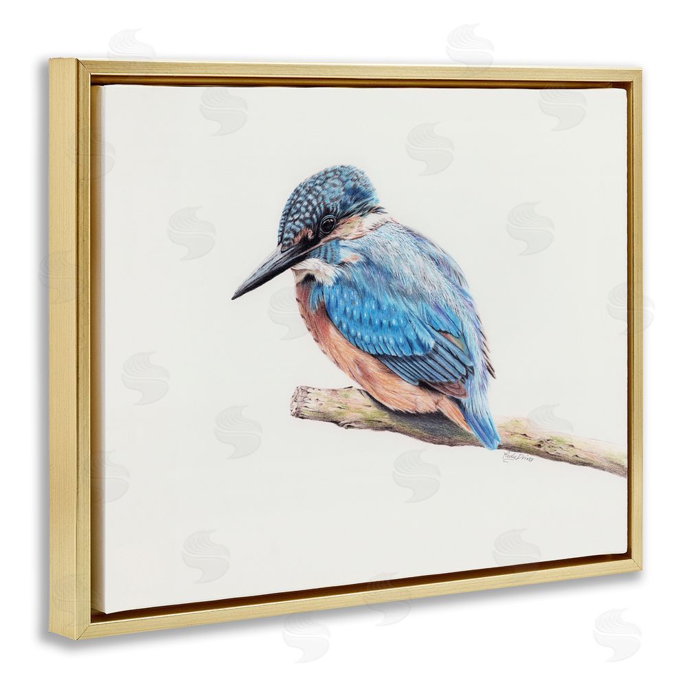 Cady Driver Vibrant Kingfisher on Branch Gold Floating Frame Canvas Wall Art Print