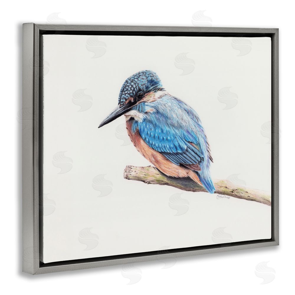 Cady Driver Vibrant Kingfisher on Branch Gray Floating Frame Canvas Wall Art Print