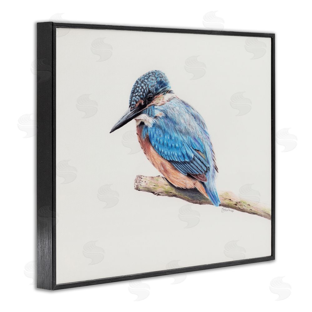 Cady Driver Vibrant Kingfisher on Branch Black Framed Giclee Wall Art Print