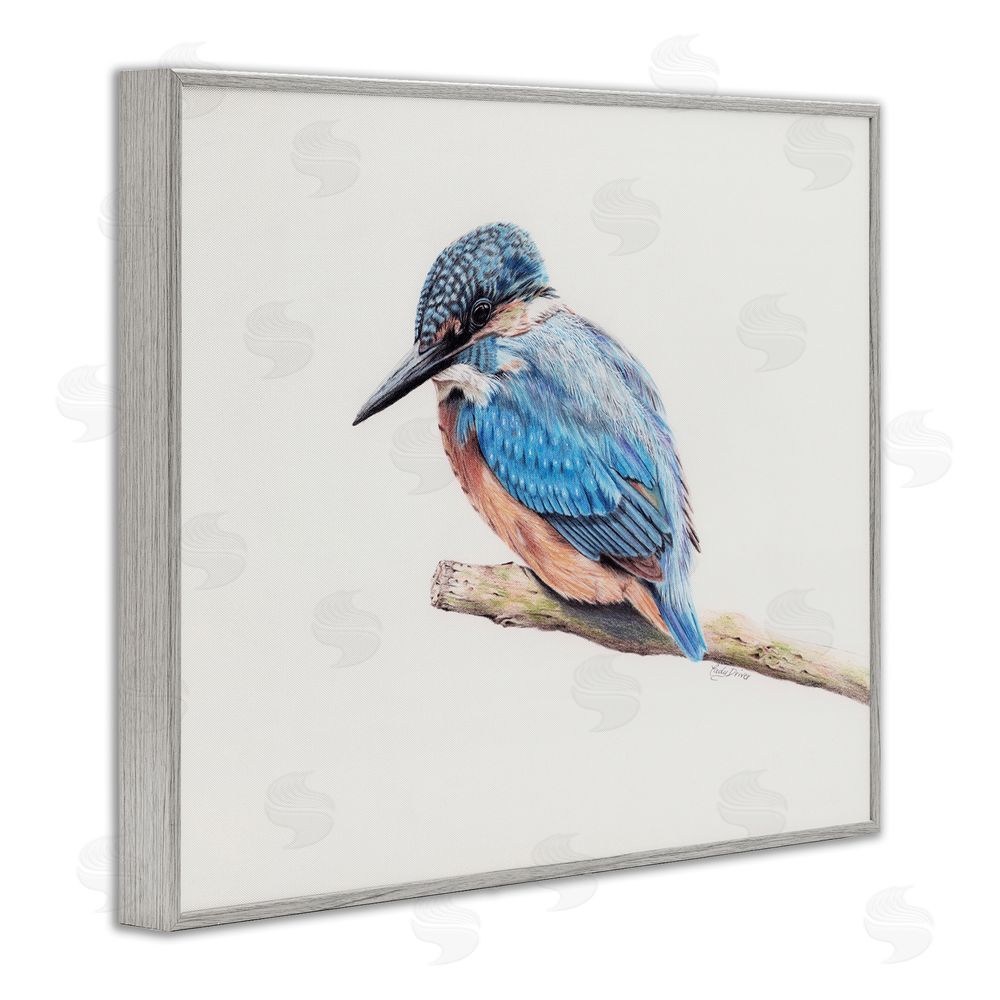 Cady Driver Vibrant Kingfisher on Branch Gray Framed Giclee Wall Art Print
