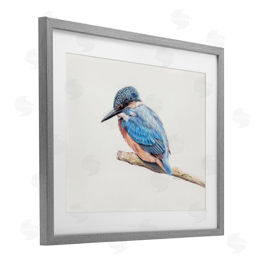 Cady Driver Vibrant Kingfisher on Branch Gray Framed Print Under Glass with White Mat Wall Art