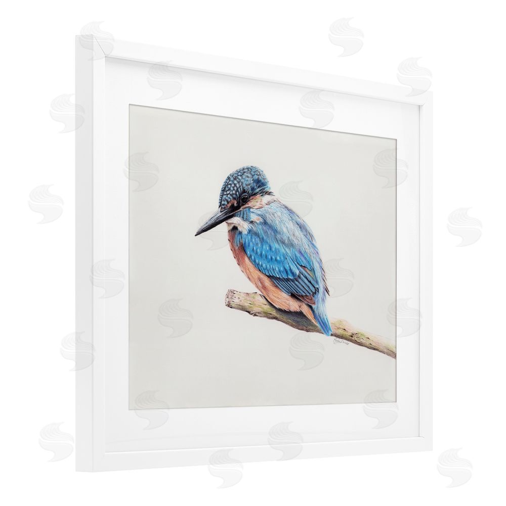 Cady Driver Vibrant Kingfisher on Branch White Framed Print Under Glass with Mat Wall Art
