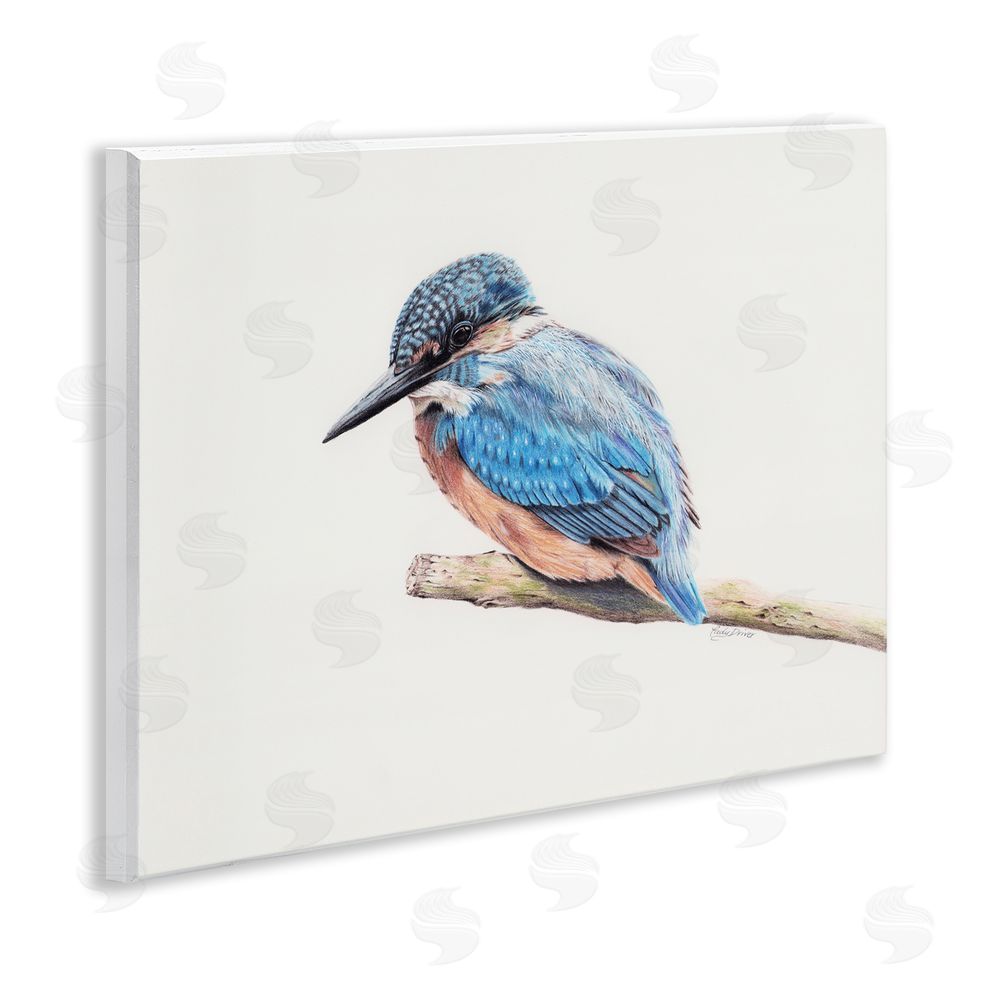 Cady Driver Vibrant Kingfisher on Branch Wall Plaque Art Print