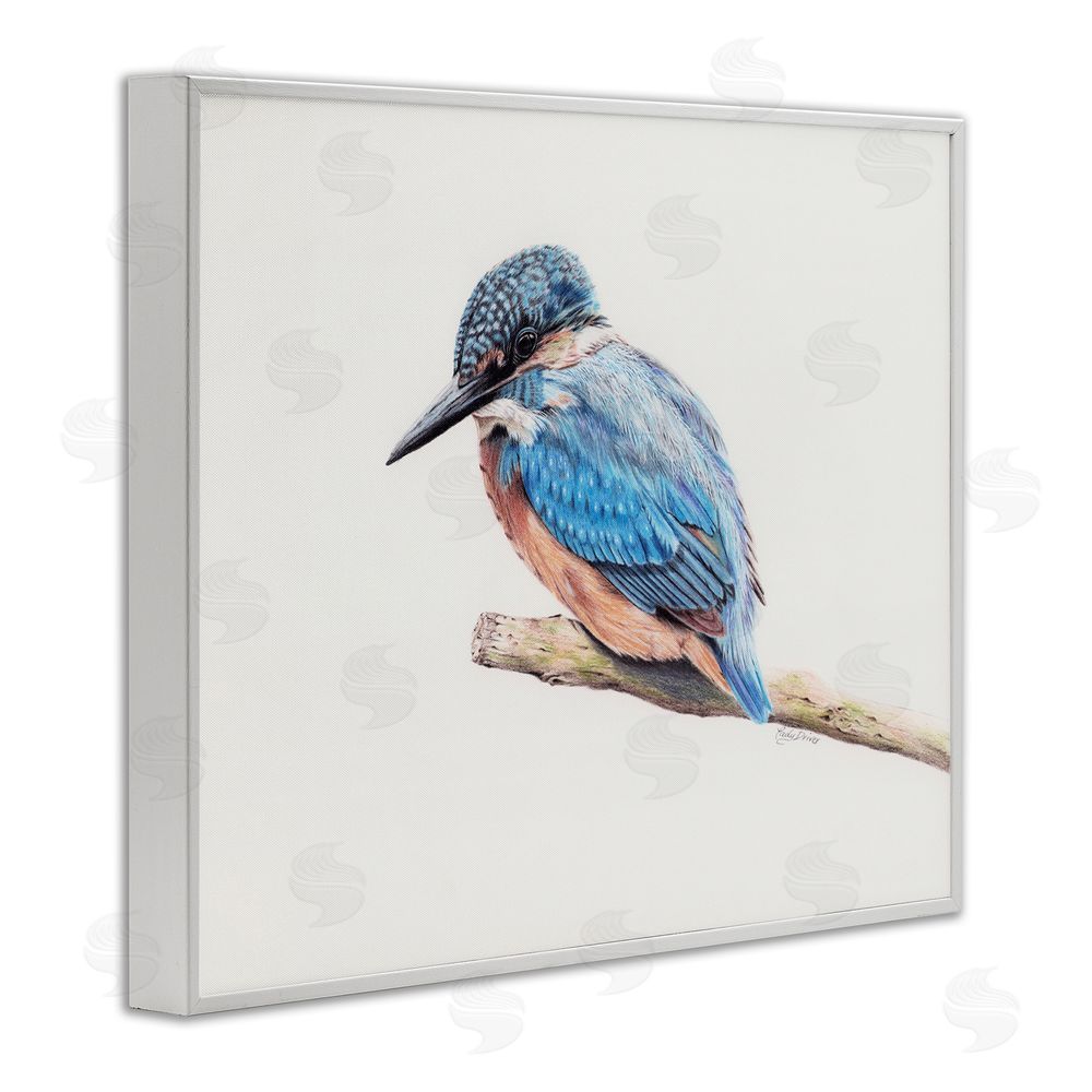 Cady Driver Vibrant Kingfisher on Branch White Framed Giclee Wall Art Print