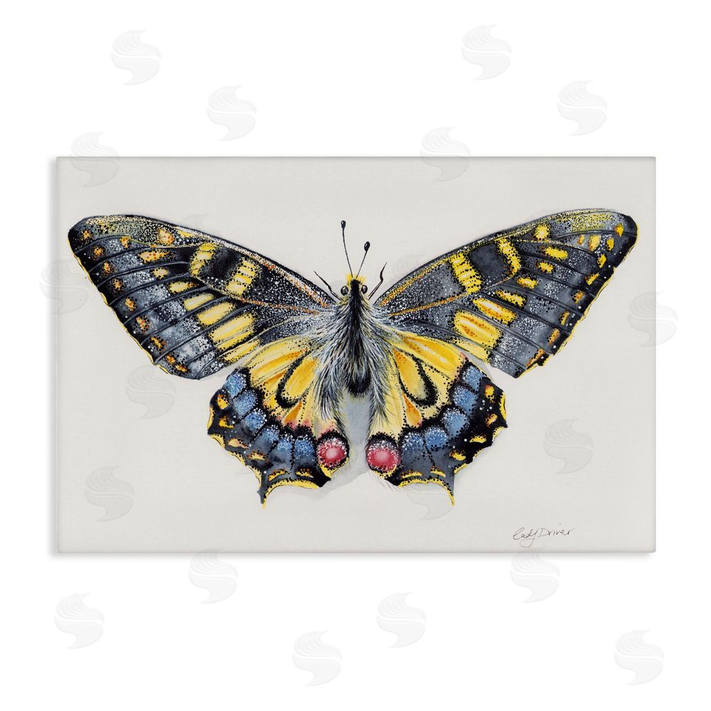 Cady Driver Beautiful Symmetrical Moth Wings Canvas Wall Art Print