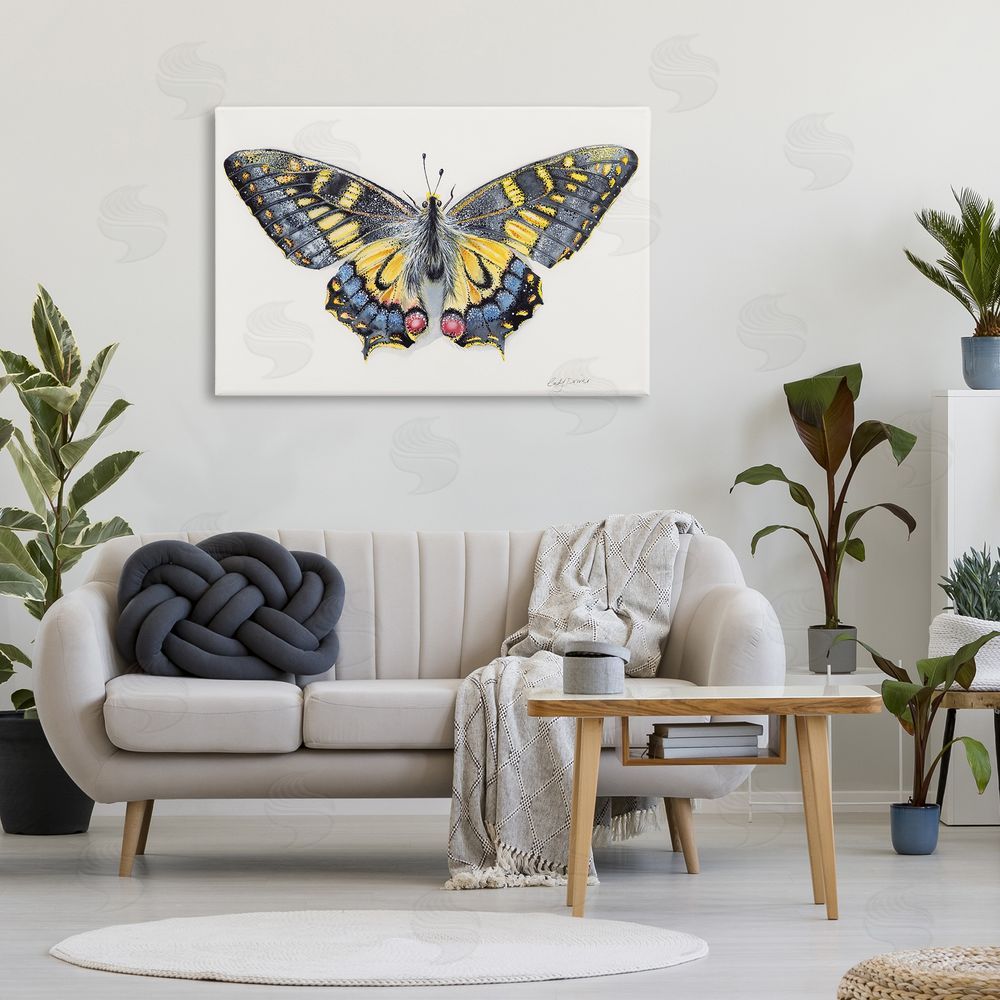Cady Driver Beautiful Symmetrical Moth Wings Canvas Art on Wall
