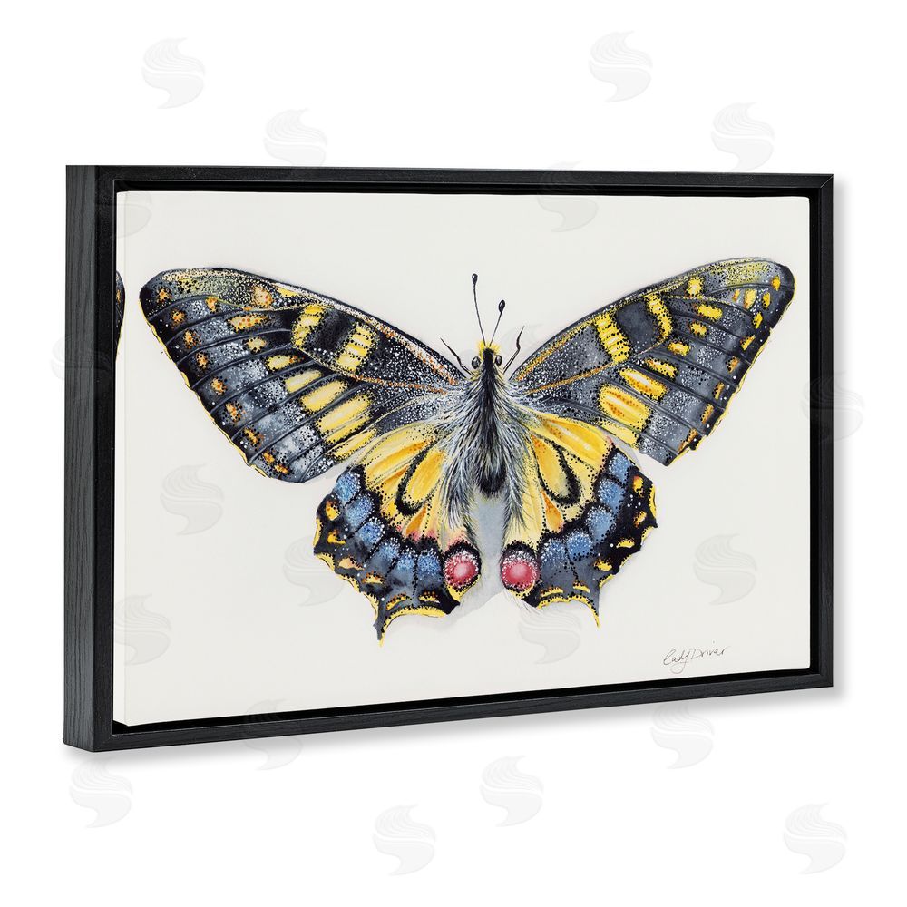 Cady Driver Beautiful Symmetrical Moth Wings Black Floating Frame Canvas Wall Art Print