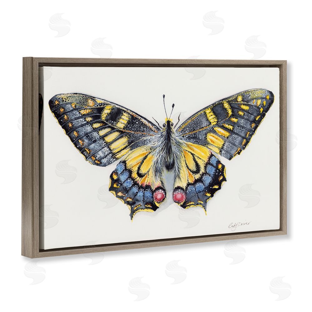 Cady Driver Beautiful Symmetrical Moth Wings Brown Floating Frame Canvas Wall Art Print