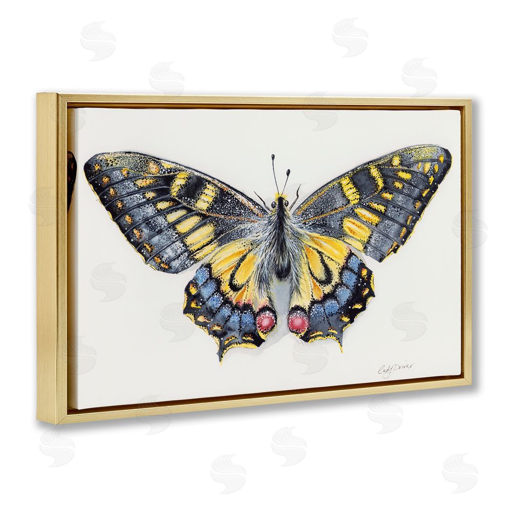 Cady Driver Beautiful Symmetrical Moth Wings Gold Floating Frame Canvas Wall Art Print
