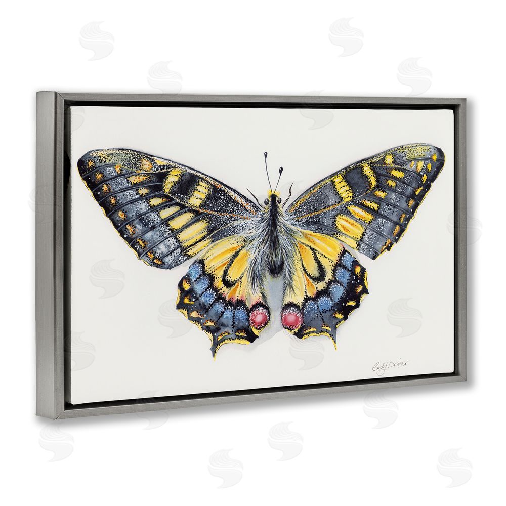 Cady Driver Beautiful Symmetrical Moth Wings Gray Floating Frame Canvas Wall Art Print