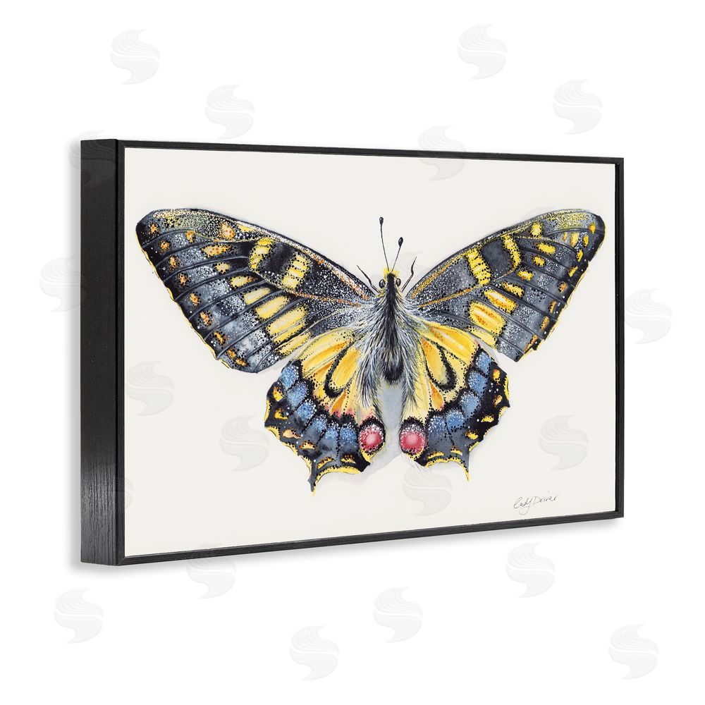 Cady Driver Beautiful Symmetrical Moth Wings Black Framed Giclee Wall Art Print