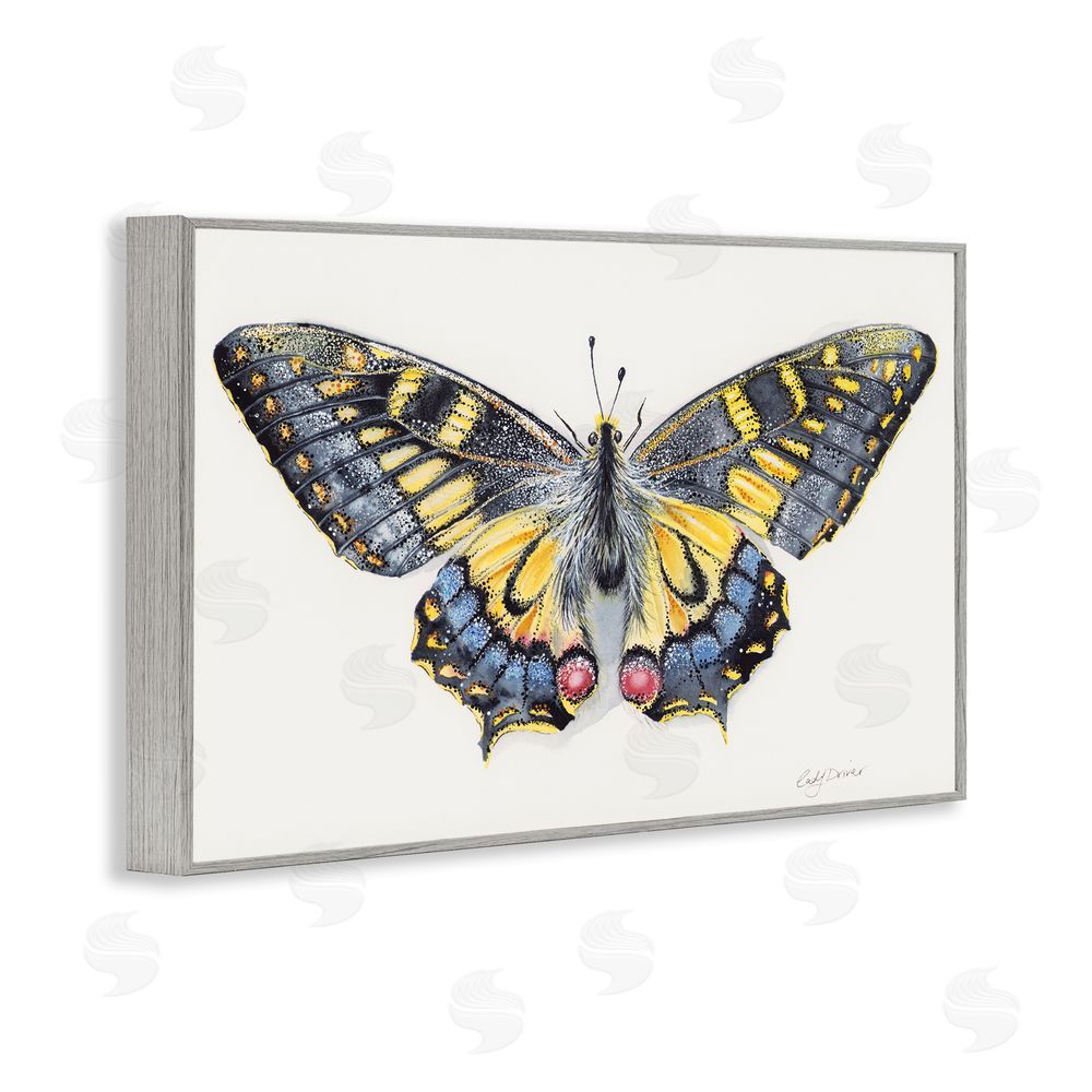 Cady Driver Beautiful Symmetrical Moth Wings Gray Framed Giclee Wall Art Print