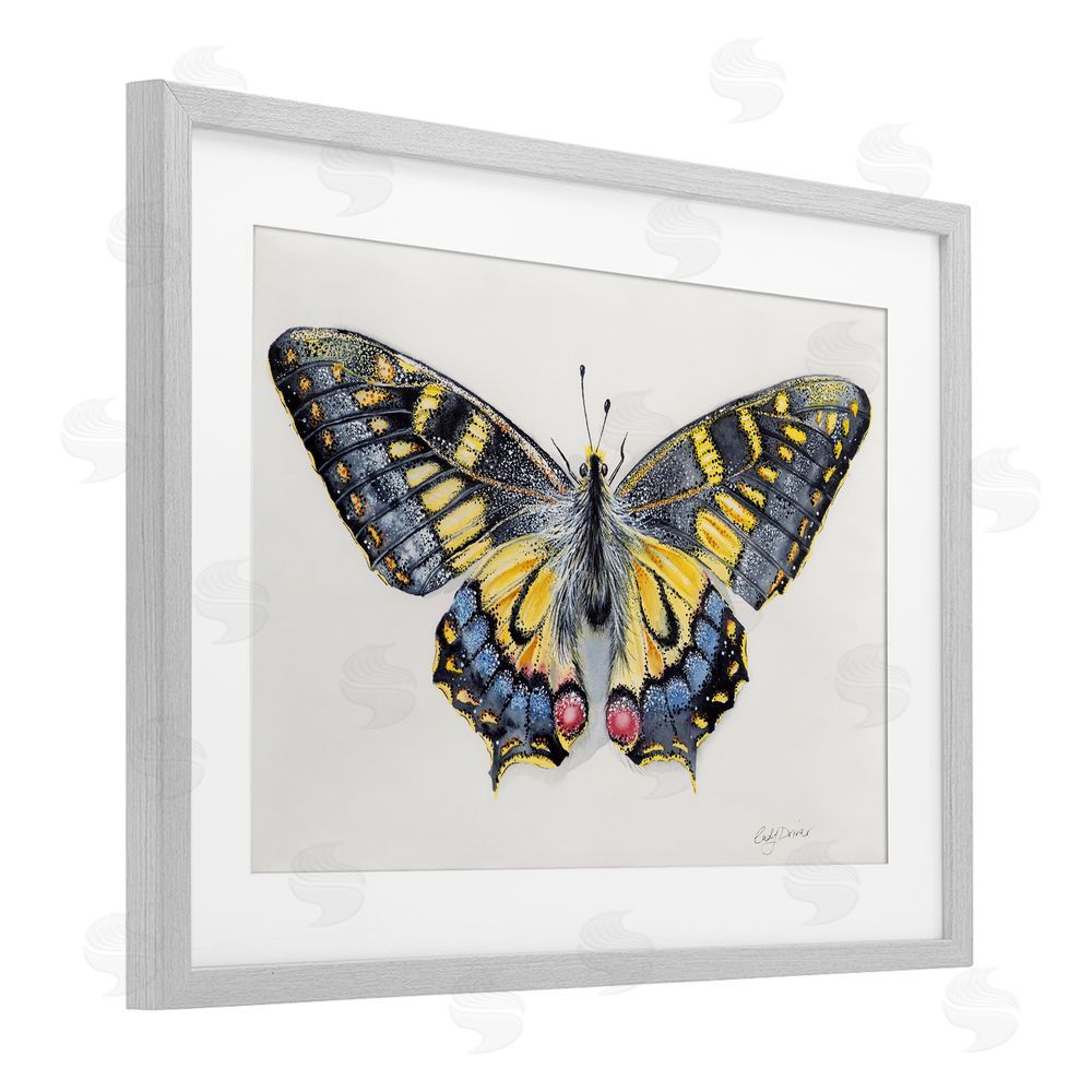 Cady Driver Beautiful Symmetrical Moth Wings Gray Framed Print Under Glass with White Mat Wall Art