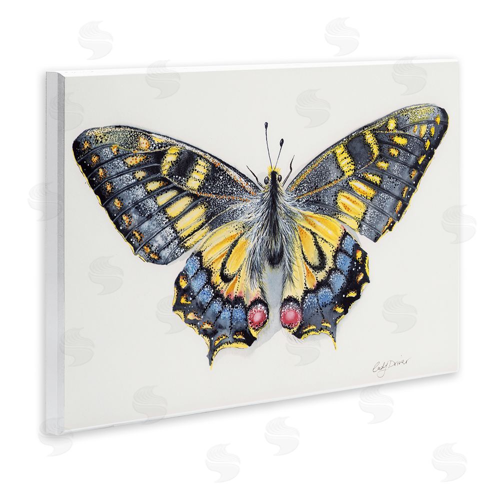 Cady Driver Beautiful Symmetrical Moth Wings Wall Plaque Art Print