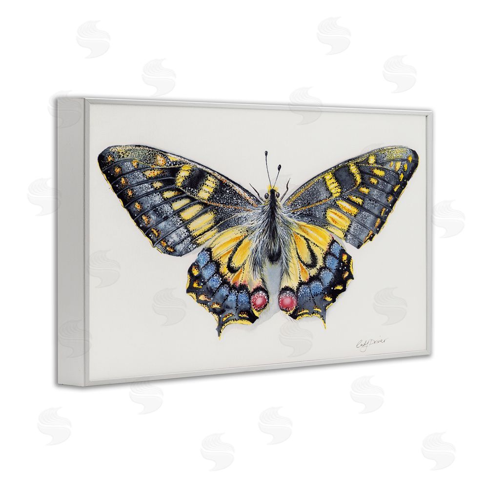 Cady Driver Beautiful Symmetrical Moth Wings White Framed Giclee Wall Art Print