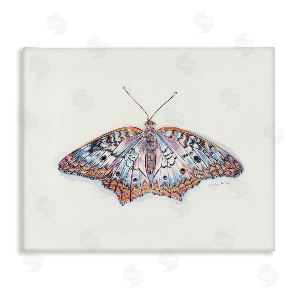 Cady Driver Delicate Moth with Detailed Pattern Canvas Wall Art Print