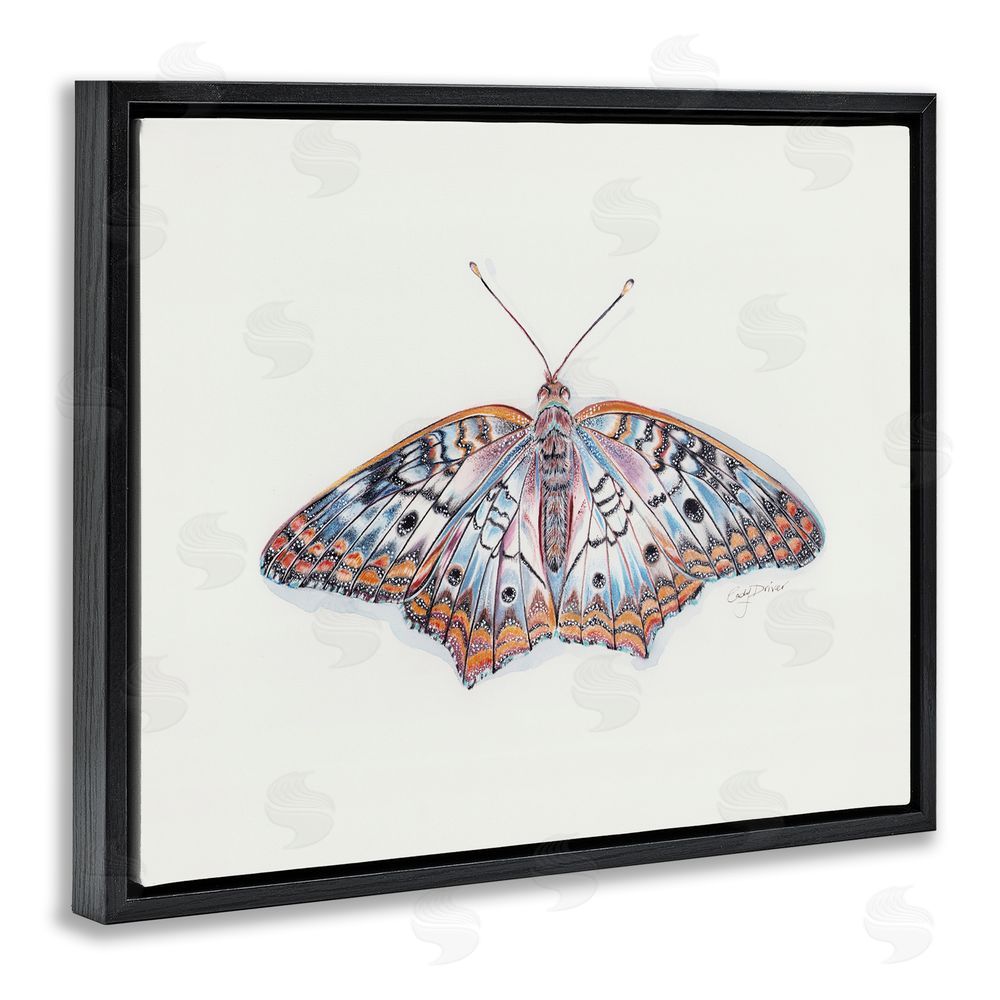 Cady Driver Delicate Moth with Detailed Pattern Black Floating Frame Canvas Wall Art Print