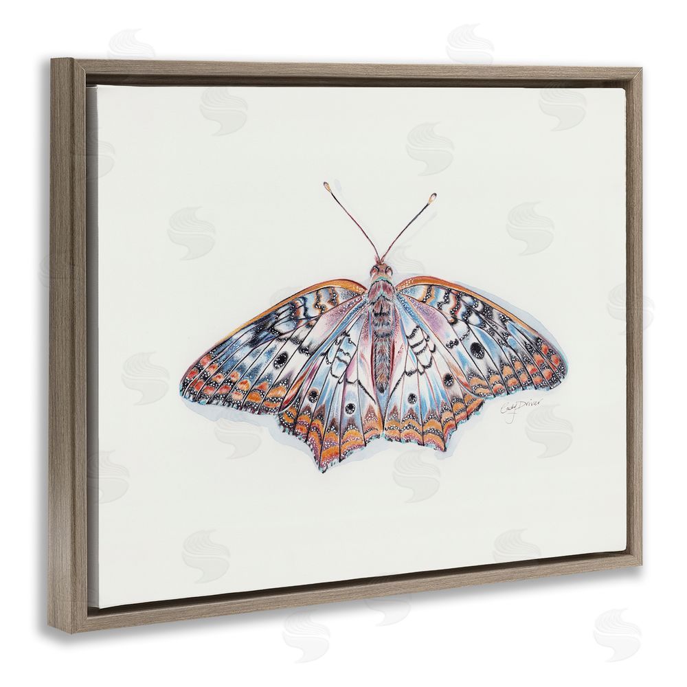 Cady Driver Delicate Moth with Detailed Pattern Brown Floating Frame Canvas Wall Art Print