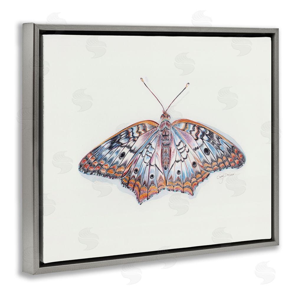 Cady Driver Delicate Moth with Detailed Pattern Gray Floating Frame Canvas Wall Art Print
